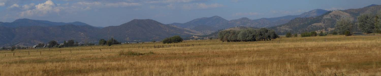 Scott valley, California